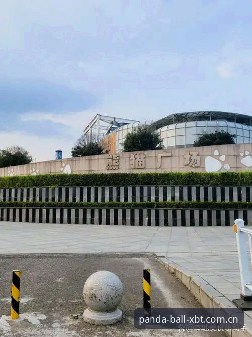 挪威1-0塞内加尔半场复盘，熊猫体育乐园这家平台看球避坑指南