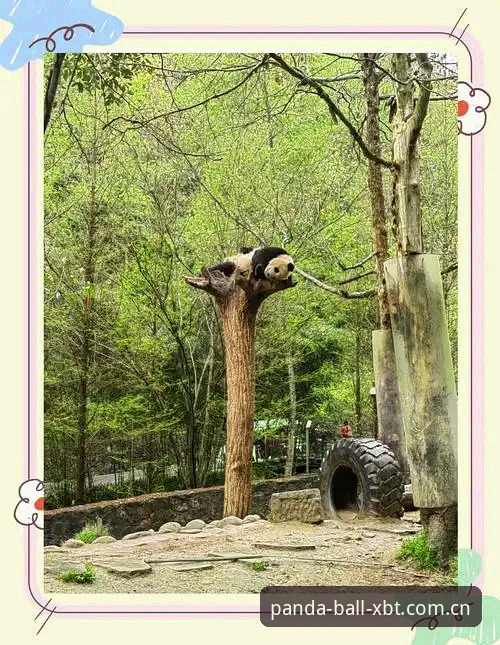 熊猫滚球区域中心首页 熊猫体育乐园深度体验:从数据到手感,资深用户教你玩转熊猫滚球区域中心首页